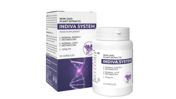 InDiva System